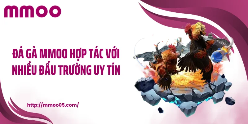 Đá gà MMOO hợp tác với nhiều đấu trường uy tín